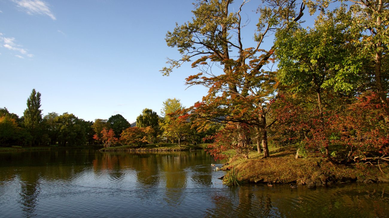 紅葉した木々と公園の池(札幌市中央区、2009年撮影)
