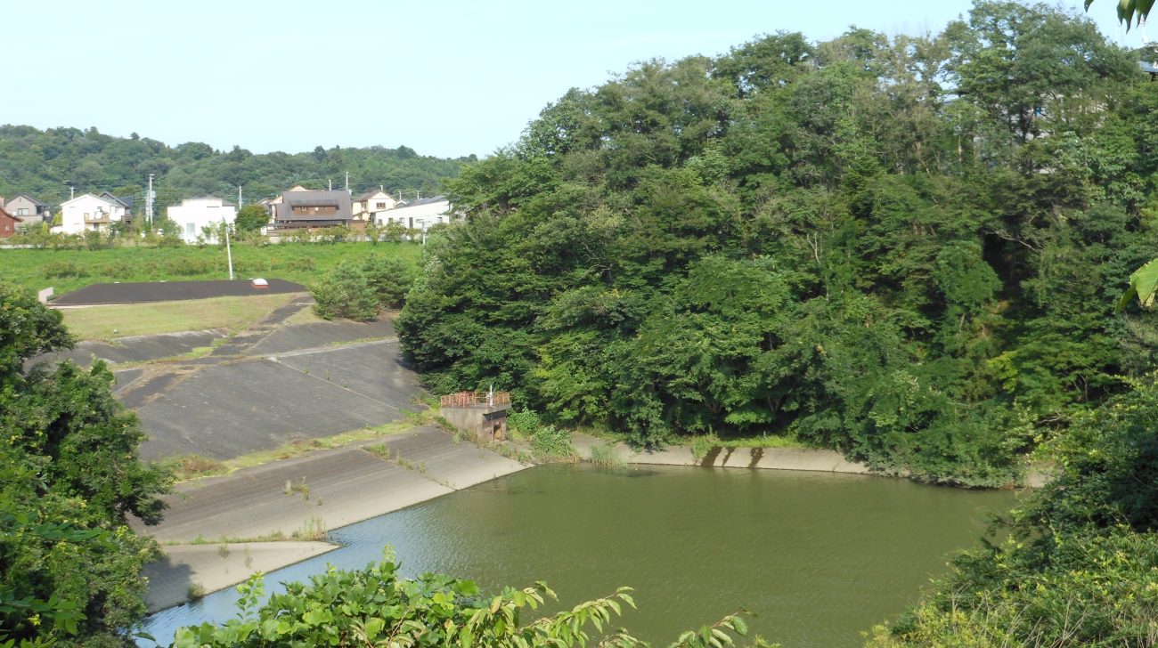 公園の池と緑の丘、奥に住宅地(宮城県富谷市、2013年撮影)