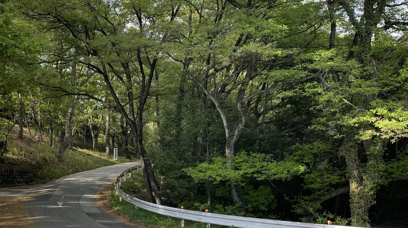 北部の山の新緑の遊歩道（群馬県太田市、2026年）