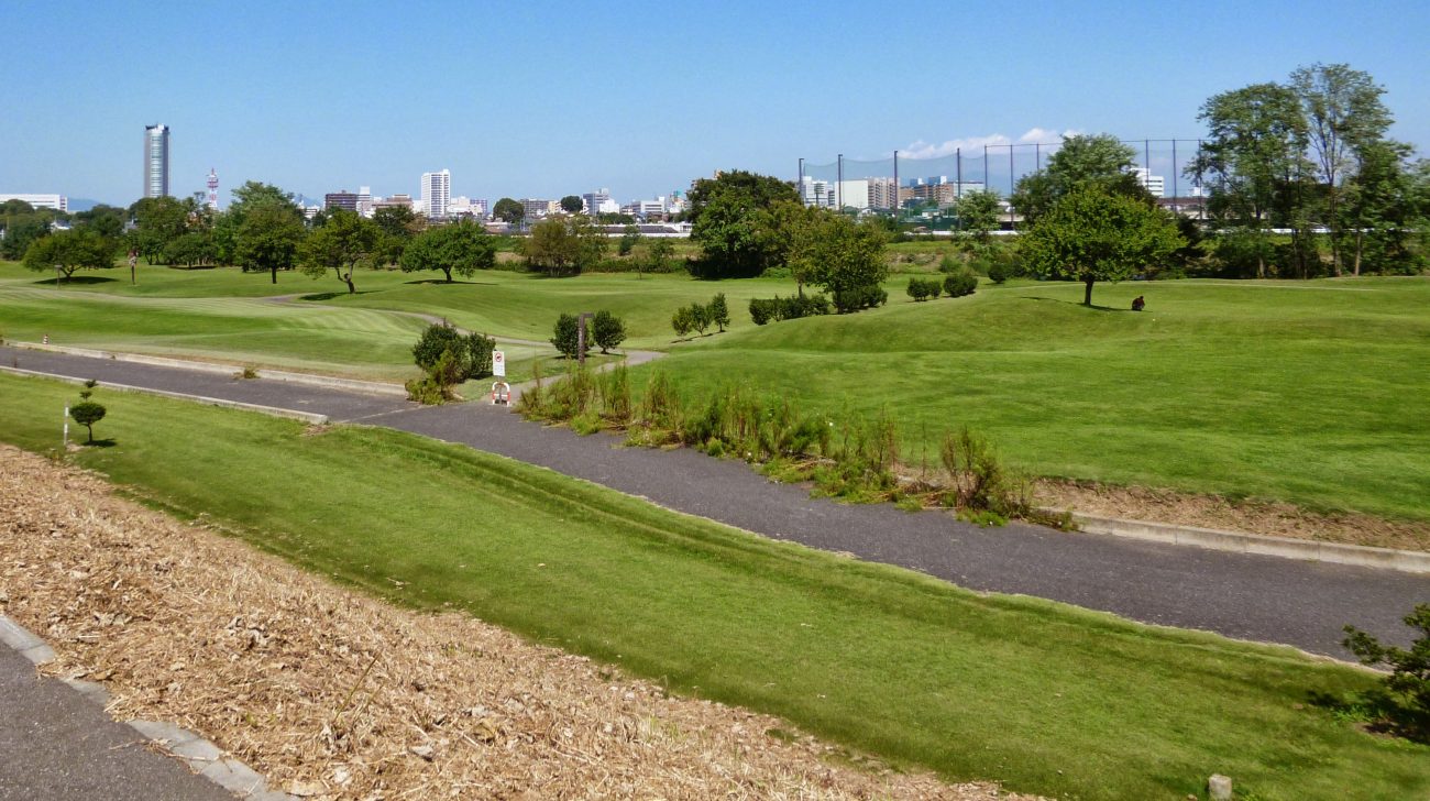 烏川沿いの河川敷と高崎の街並み(群馬県高崎市、2013年)