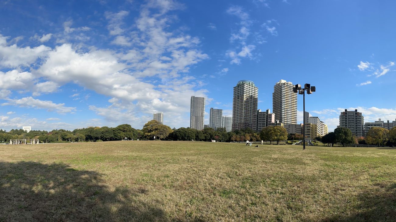 幕張海浜公園の広い芝生と高層の住宅、青空(千葉市美浜区、2025年撮影)
