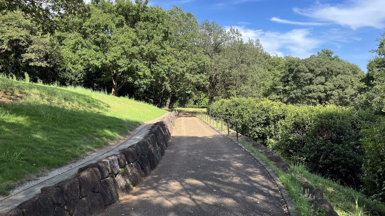 八国山緑地の散策路と木々、芝生の斜面と青空（東京都東村山市、2023年撮影）
