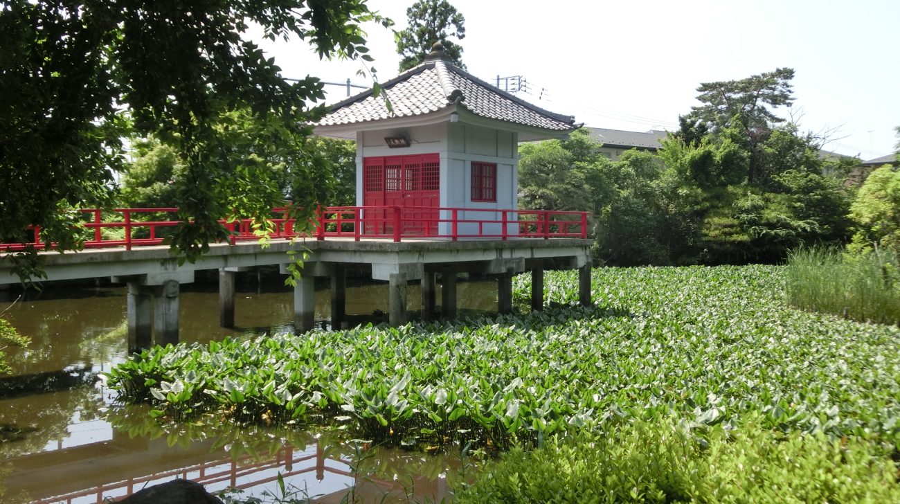 烏山の鴨池と池に建つお堂、水面の緑（東京都世田谷区北烏山、2020年撮影）