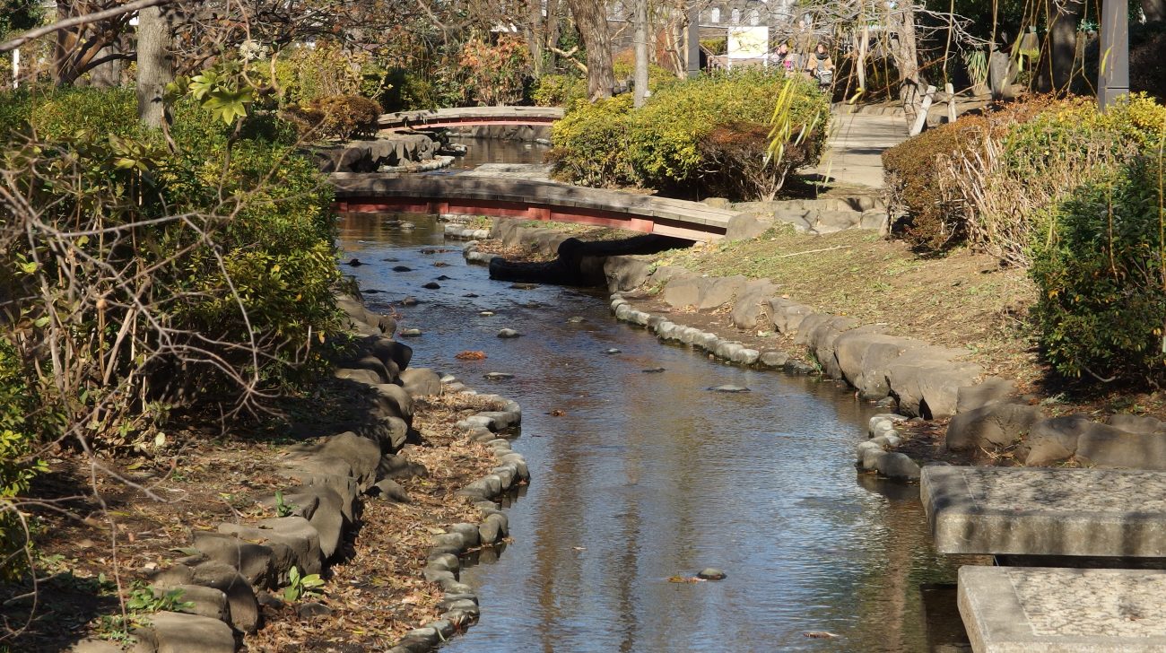 大横川親水公園の水の流れと木の橋、植え込み(東京都墨田区、2014年撮影)