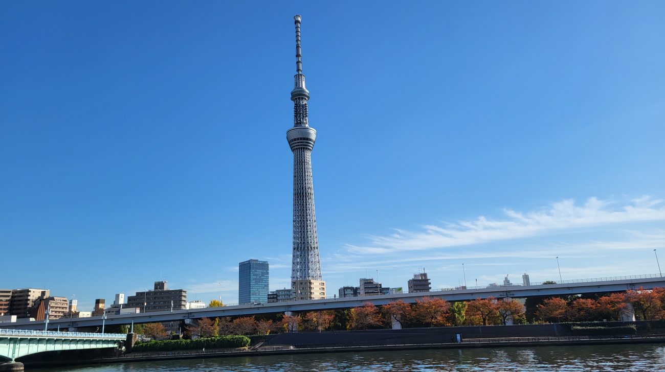 隅田公園から見た隅田川と対岸の墨田区の街並み、紅葉(東京都台東区、2023年撮影)