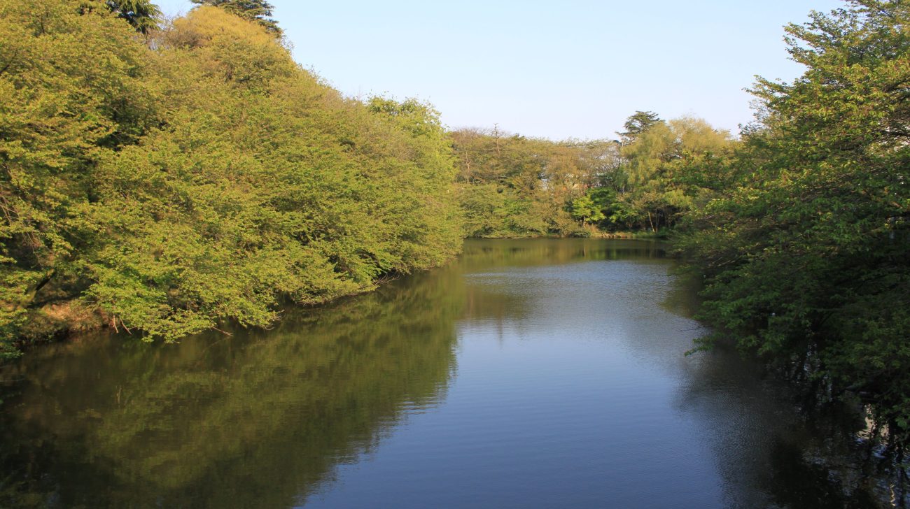 新緑の木々に囲まれた公園の堀（富山県高岡市、2010年撮影）