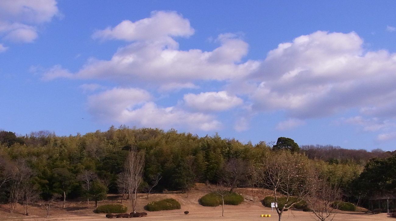 大高町の緑地の芝生広場(名古屋市緑区、2011年)