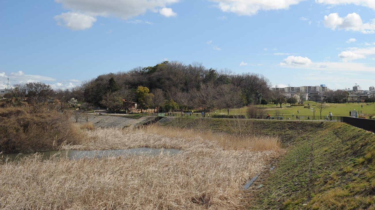 天白川沿いの丘と青空(名古屋市天白区、2016年)