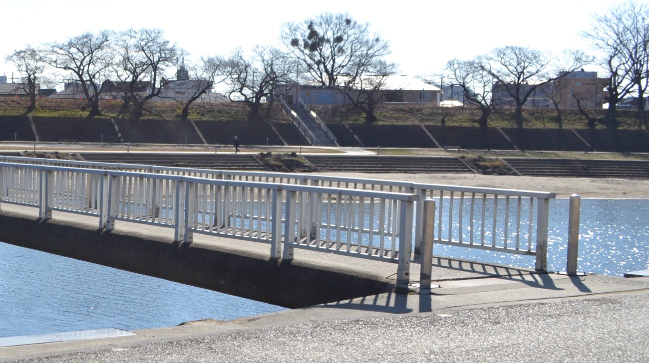乙川と橋、川沿いの並木(愛知県岡崎市、2023年)