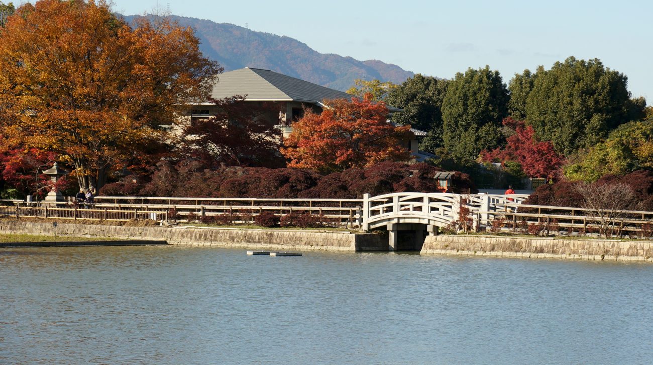 八条ヶ池にかかる白い太鼓橋と紅葉、奥に西山の山並み（京都府長岡京市、2013年撮影）