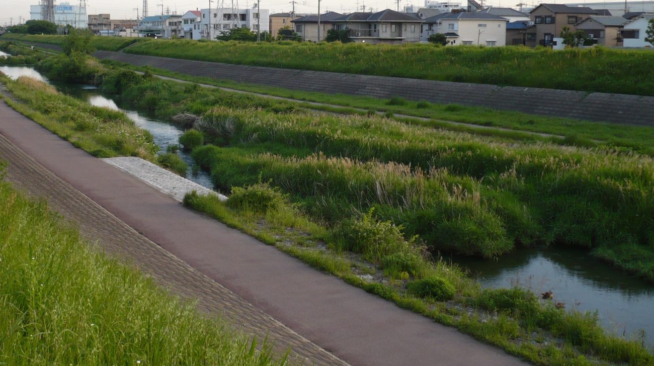 川の河川敷と土手の遊歩道（大阪府茨木市、2008年撮影）
