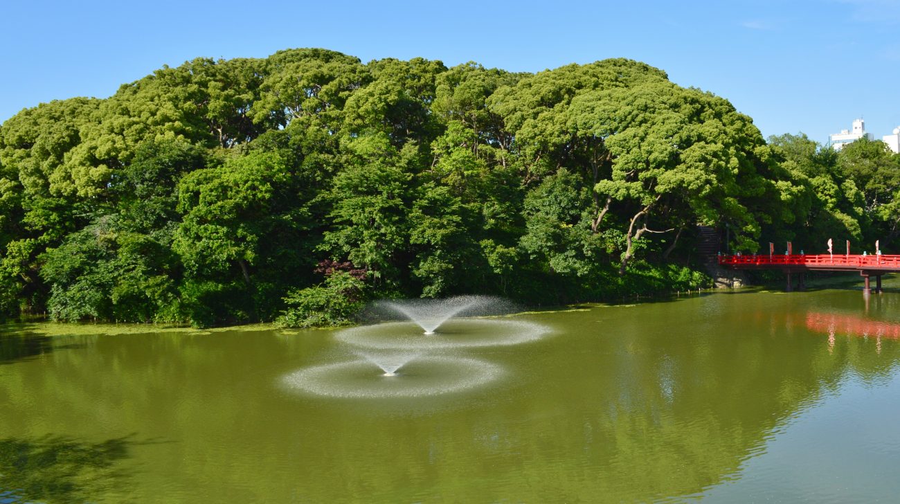 緑に覆われた小山と池の噴水、赤い橋(大阪市天王寺区、2017年撮影)