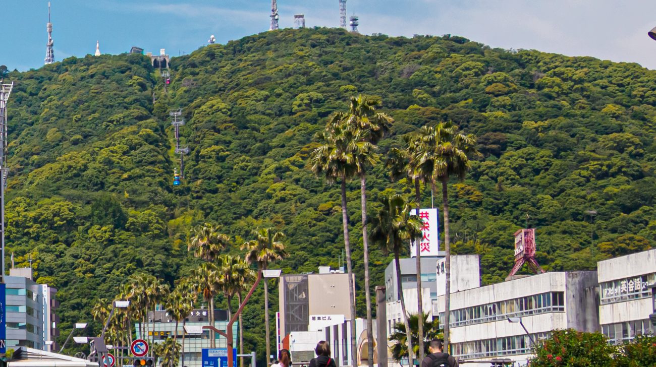 緑の山とヤシの並木、川沿いの街並み(徳島県徳島市、2024年撮影)